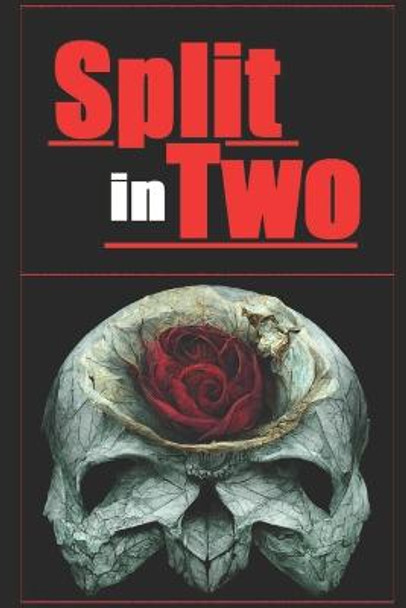 Split in Two Michael Wood 9781549812316