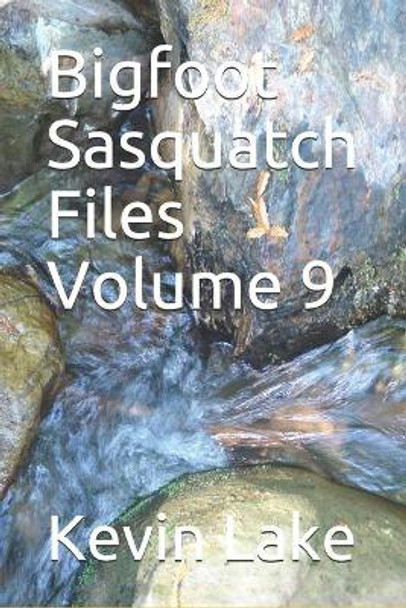 Bigfoot Sasquatch Files Volume 9 Kevin Lake 9798710735756