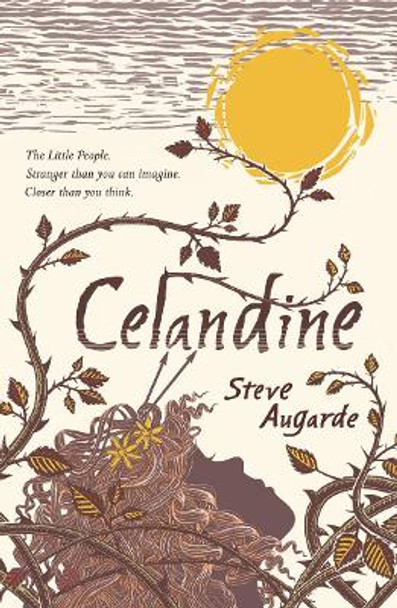 Celandine: The Touchstone Trilogy Steve Augarde 9780552572972