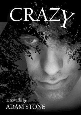 CRAZY Adam Stone 9780244456818