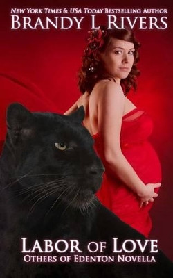 Labor of Love by Brandy L Rivers