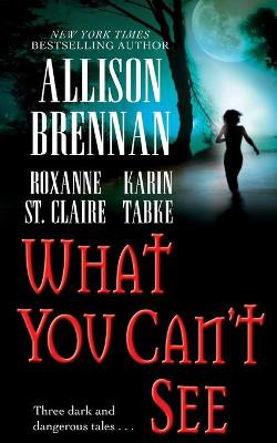 What You Can't See by Allison Brennan
