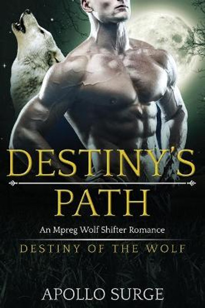 Destiny's Path by Apollo Surge