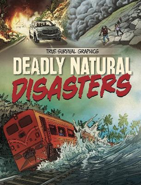 Deadly Natural Disasters Steve Foxe 9781398256675