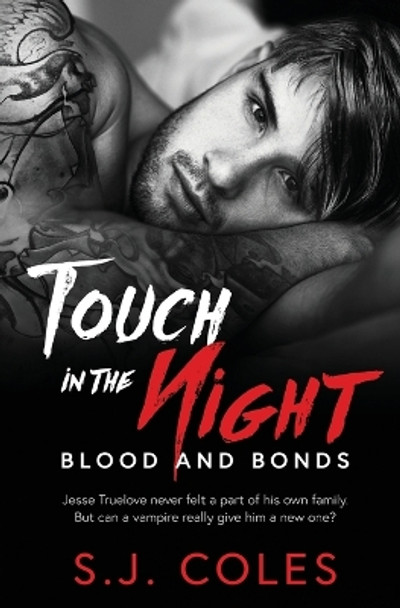 Touch in the Night by S J Coles