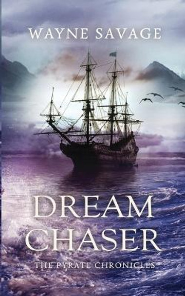 Dream Chaser by Wayne Savage
