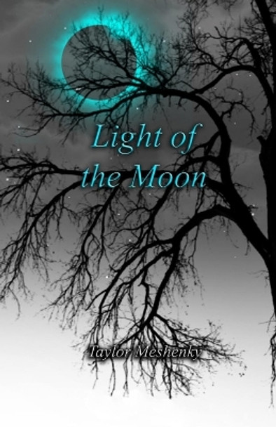 Light of the Moon by Taylor Meshenky