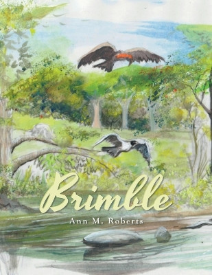 Brimble Ann M Roberts 9781664118577