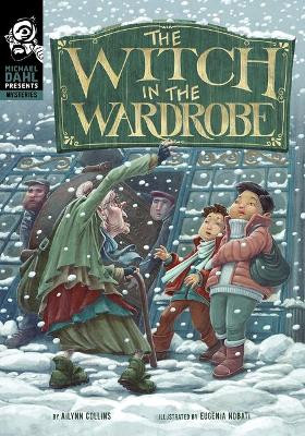 The Witch in the Wardrobe Ailynn Collins 9781496597076