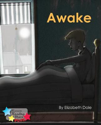 Awake Elizabeth Dale 9781785915079