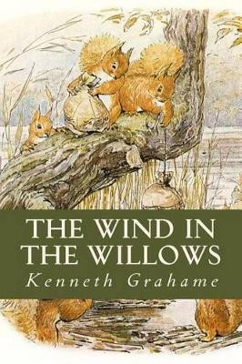 The Wind in the Willows Kenneth Grahame 9781541017689