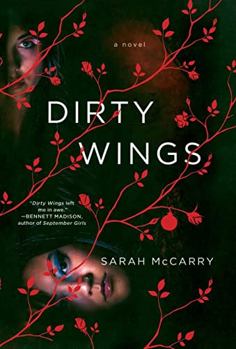 Dirty Wings by Sarah McCarry