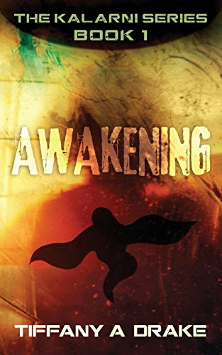 Awakening Tiffany A Drake 9781647463595