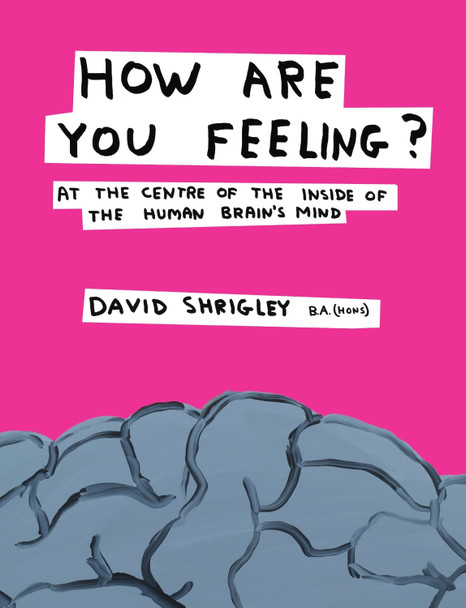 How Are You Feeling?: At the Centre of the Inside of The Human Brain's Mind David Shrigley 9780857867216 [USED COPY]