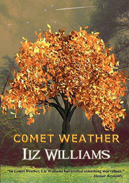 Comet Weather Liz Williams 9781912950461