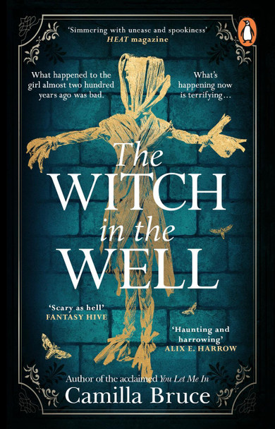 The Witch in the Well: A deliciously disturbing Gothic tale of a revenge reaching out across the years Camilla Bruce 9781804993163 [USED COPY]