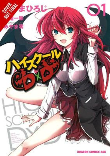 High School DxD, Vol. 1 Ichiei Ishibumi 9780316407366