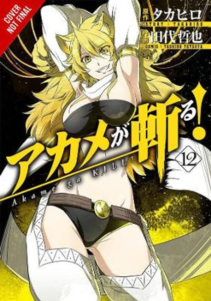 Akame Ga Kill!, Vol. 12 by Takahiro