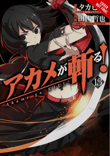 Akame Ga Kill!, Vol. 13 Takahiro 9780316473354