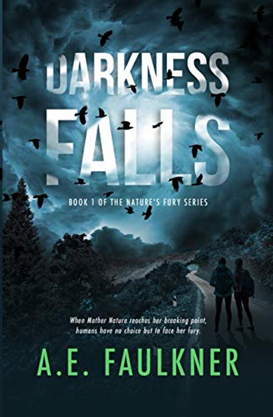 Darkness Falls A E Faulkner 9781949193985