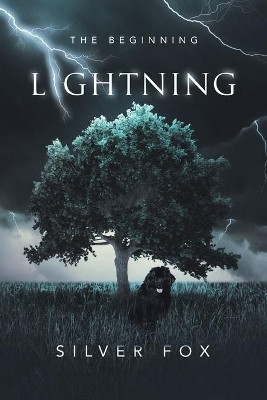 Lightning by Silver Fox