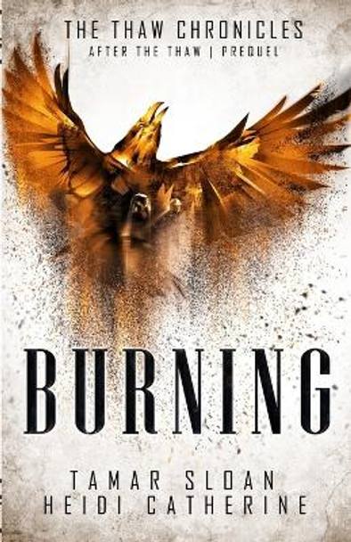 Burning by Heidi Catherine