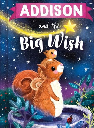 Addison and the Big Wish by Louise Martin