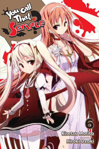 You Call That Service?, Vol. 6 (light novel) by Kisetsu Morita