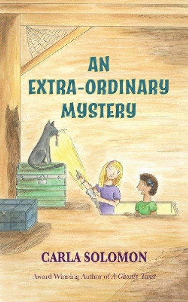 An Extra-Ordinary Mystery by Carla Solomon