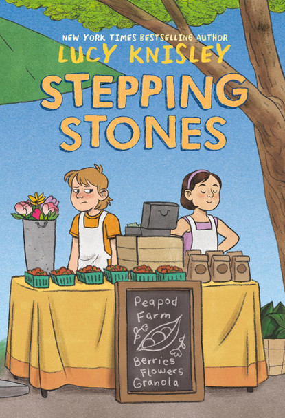 Stepping Stones Lucy Knisley 9781984896841