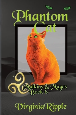 Phantom Cat by Virginia Ripple