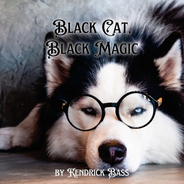 Black Cat Black Magic by Kendrick Bass