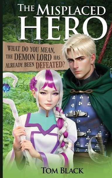 The Misplaced Hero by Tom Black
