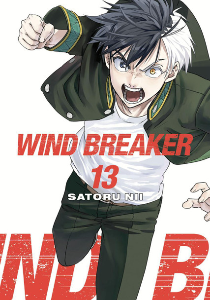 WIND BREAKER 13 by Satoru Nii WIND BREAKER 13 by Satoru Nii