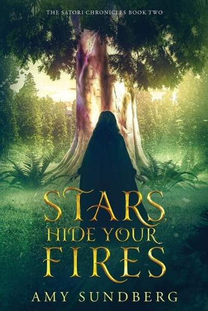 Stars, Hide Your Fires by Amy Sundberg