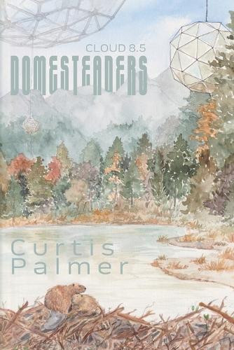 Domesteaders: Cloud 8.5 Curtis Palmer 9781038318299