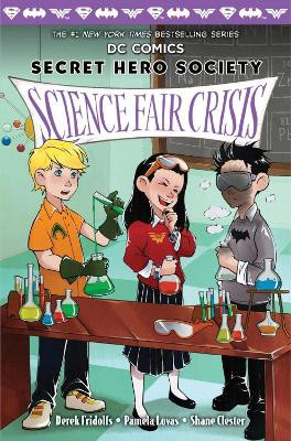 Science Fair Crisis by Derek Fridolfs