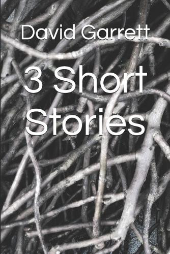 3 Short Stories David Garrett 9781792159527
