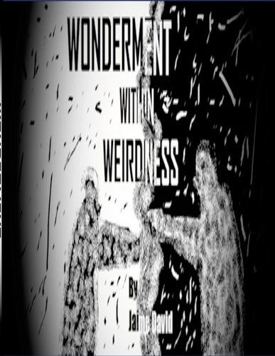 Wonderment Within Weirdness Jaime David 9781300569213