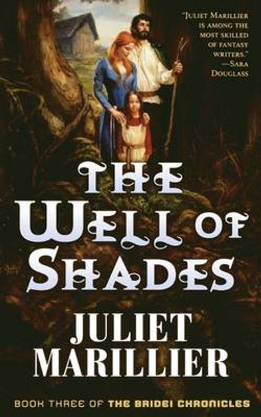 The Well of Shades Juliet Marillier 9780765310002