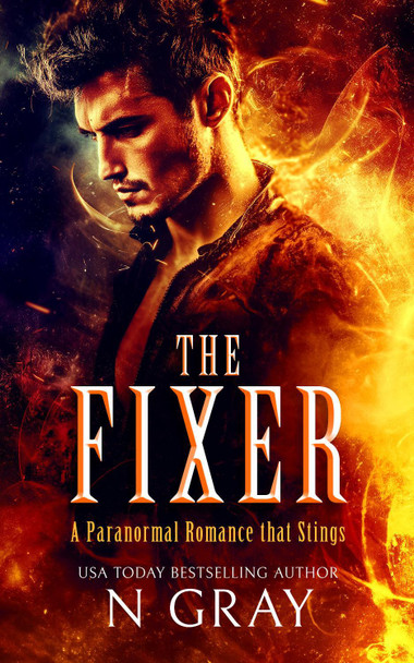 The Fixer: A paranormal romance that stings! N Gray 9781036702236