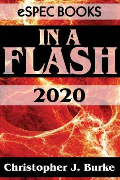 In a Flash 2020 Christopher J Burke 9781949691436