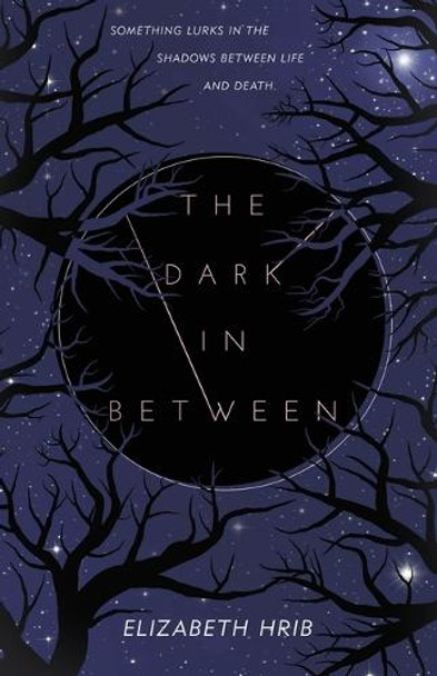 The Dark In-Between Elizabeth Hrib 9781250419880