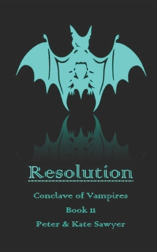 Resolution Kate Sawyer 9798292494362