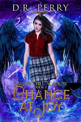 Chance At Joy D R Perry 9798885417150