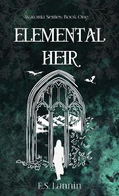 Elemental Heir E S Lannin 9781919367613