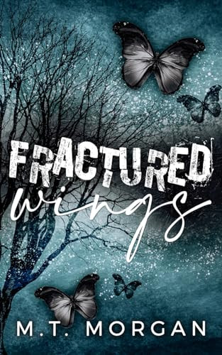 Fractured Wings: A Dark Romance M T Morgan 9798864231388