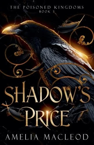 Shadow's Price Amelia MacLeod 9781964223124