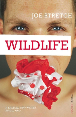 Wildlife Joe Stretch 9780099532071