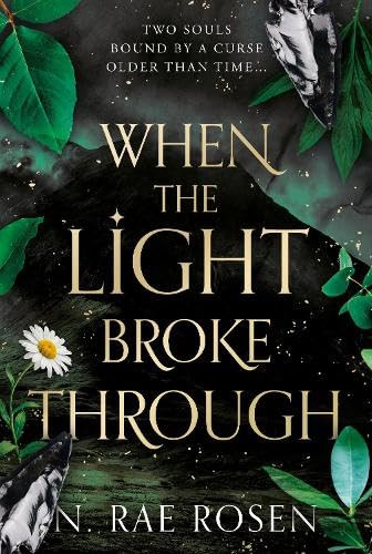When the Light Broke Through N. Rae Rosen 9781835744598